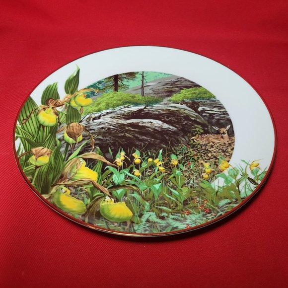 VTG Decorative Plate Royal Windsor Lady Slipper Orchid Wildflowers of the South - Picture 6 of 12